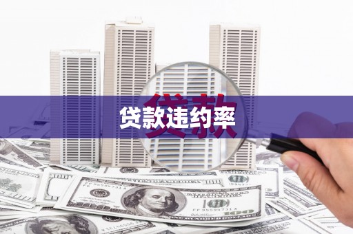 临县贷款违约率