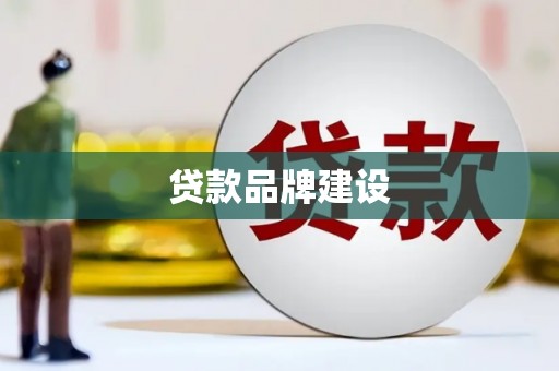 天山贷款品牌建设