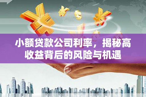 玉山小额贷款公司利率，揭秘高收益背后的风险与机遇