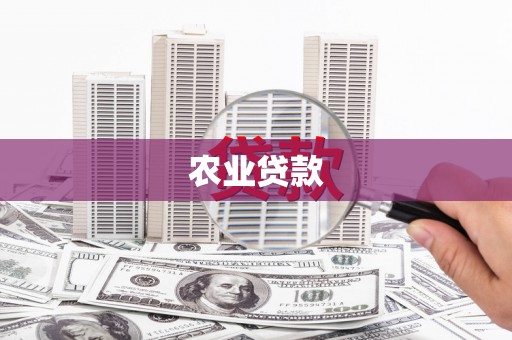 永德农业贷款