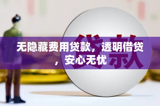 怀化无隐藏费用贷款，透明借贷，安心无忧