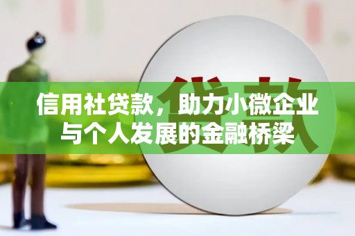 温州信用社贷款，助力小微企业与个人发展的金融桥梁