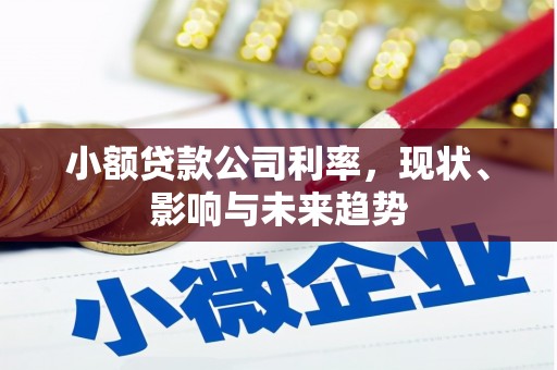 红塔小额贷款公司利率，现状、影响与未来趋势