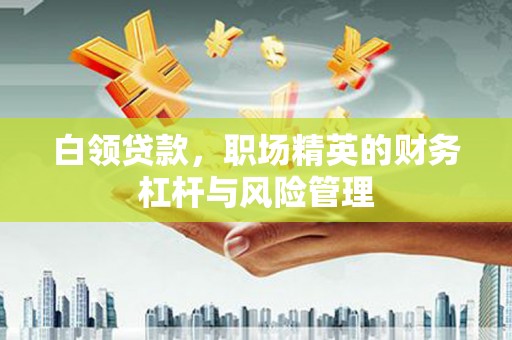 七里河白领贷款，职场精英的财务杠杆与风险管理