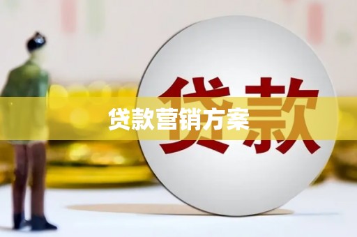 横栏贷款营销方案