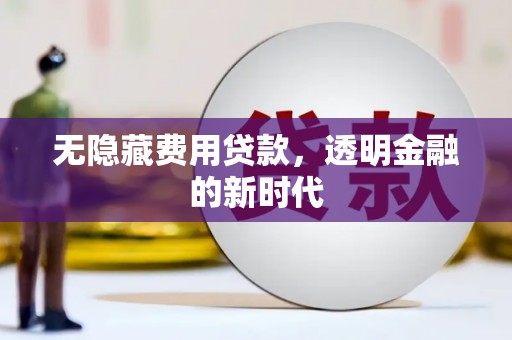 绥滨无隐藏费用贷款，透明金融的新时代