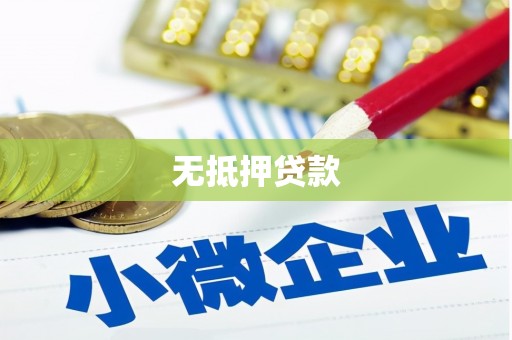 回民无抵押贷款