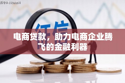 新蔡电商贷款，助力电商企业腾飞的金融利器