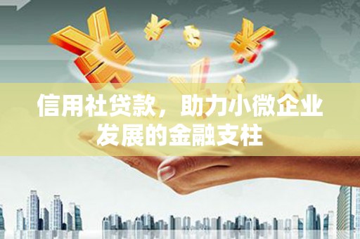 万峦信用社贷款，助力小微企业发展的金融支柱
