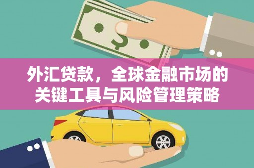 林边外汇贷款，全球金融市场的关键工具与风险管理策略