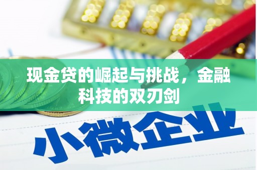 怀化现金贷的崛起与挑战，金融科技的双刃剑