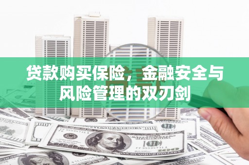 宣化贷款购买保险，金融安全与风险管理的双刃剑