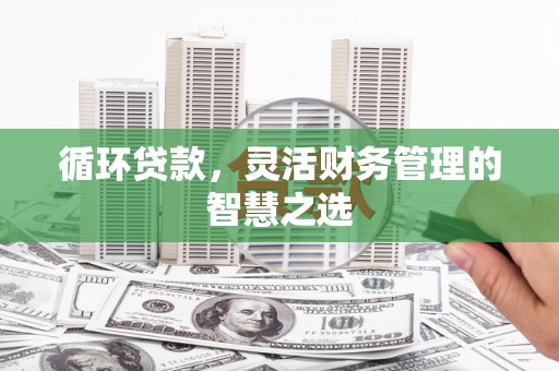 伊吾循环贷款，灵活财务管理的智慧之选