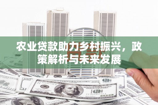 稻城农业贷款助力乡村振兴，政策解析与未来发展