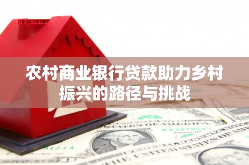 新园农村商业银行贷款助力乡村振兴的路径与挑战