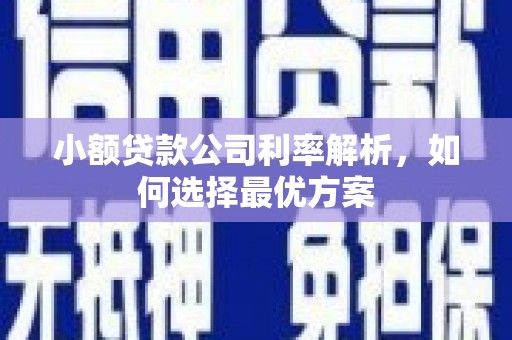 无极小额贷款公司利率解析，如何选择最优方案