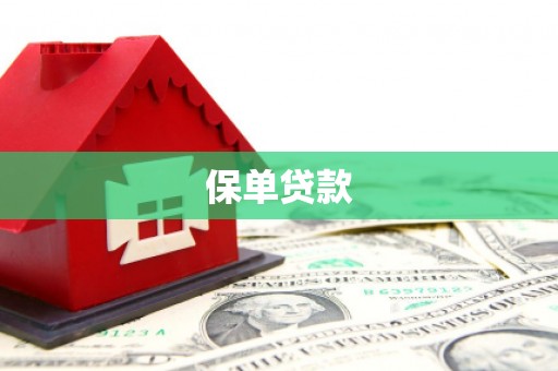 思南保单贷款
