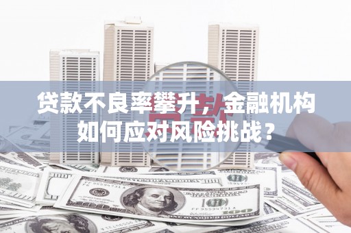 梨树县贷款不良率攀升，金融机构如何应对风险挑战？
