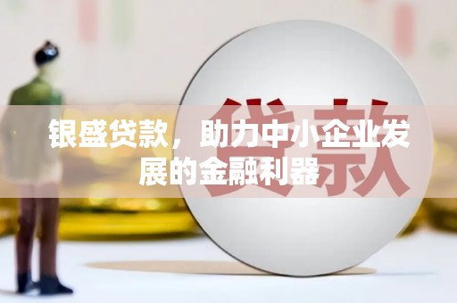 阜沙银盛贷款，助力中小企业发展的金融利器