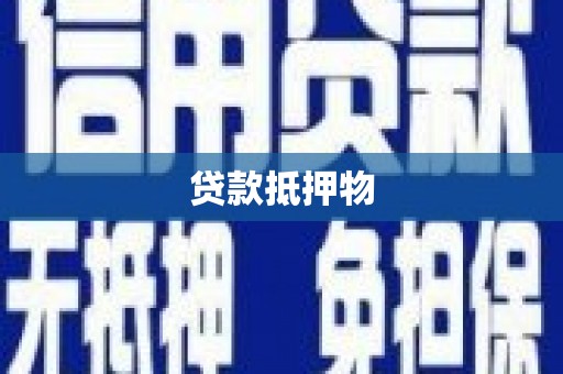 海盐贷款抵押物
