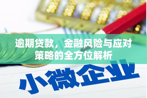 沈北新区逾期贷款，金融风险与应对策略的全方位解析