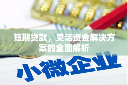 故城短期贷款，灵活资金解决方案的全面解析