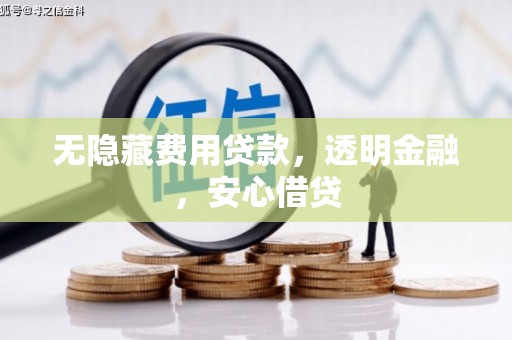 那玛夏无隐藏费用贷款，透明金融，安心借贷
