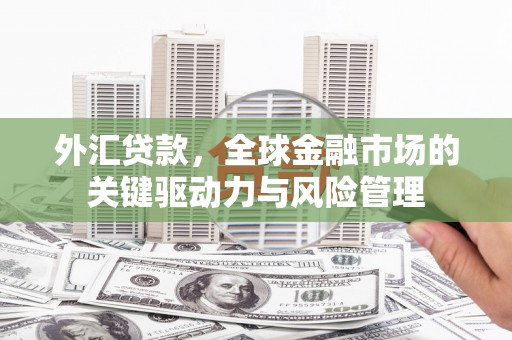 竹东外汇贷款，全球金融市场的关键驱动力与风险管理