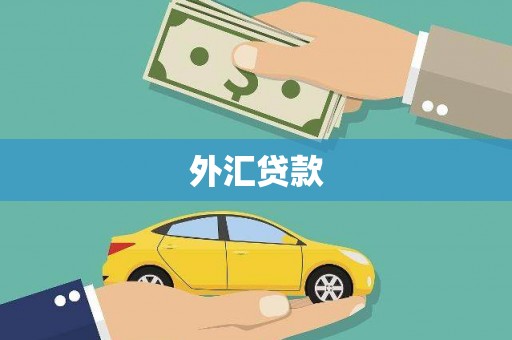 望都外汇贷款