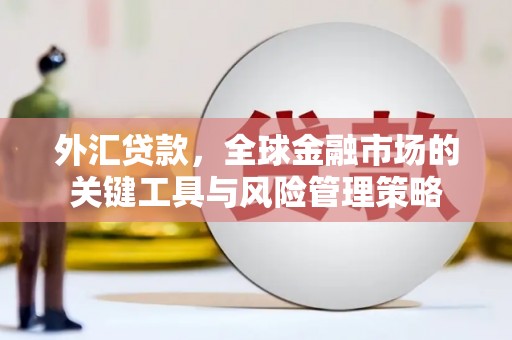 碌曲外汇贷款，全球金融市场的关键工具与风险管理策略