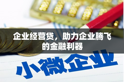 西和企业经营贷，助力企业腾飞的金融利器