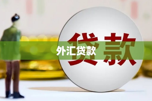 修文外汇贷款