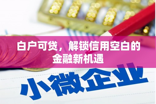 盐田白户可贷，解锁信用空白的金融新机遇