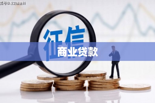 华龙商业贷款