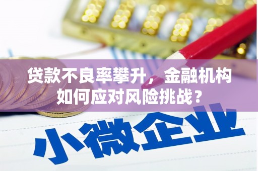 邯郸贷款不良率攀升，金融机构如何应对风险挑战？