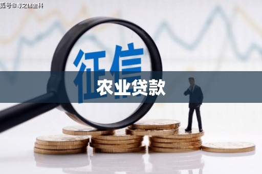 芗城农业贷款