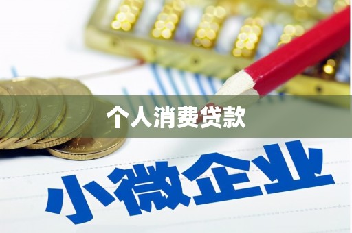 狮子个人消费贷款