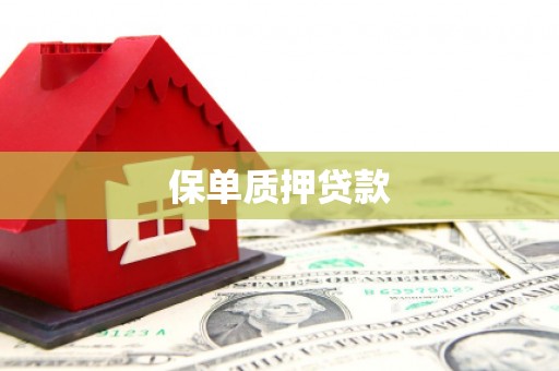 乌马河保单质押贷款