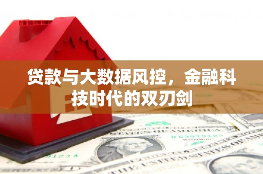 苑里贷款与大数据风控，金融科技时代的双刃剑