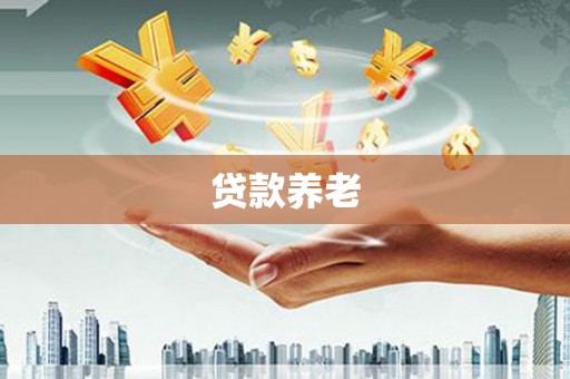 振兴贷款养老