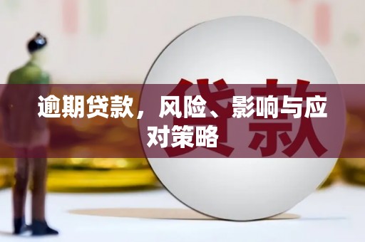 泌阳逾期贷款，风险、影响与应对策略