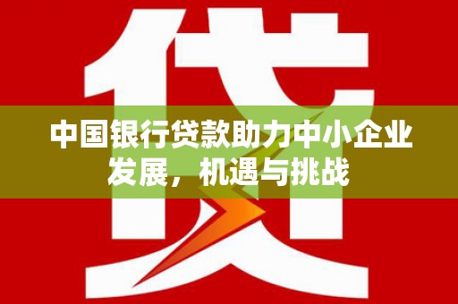 贵州中国银行贷款助力中小企业发展，机遇与挑战