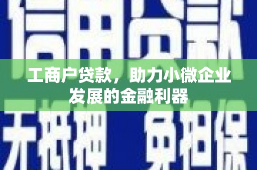沙依巴克工商户贷款，助力小微企业发展的金融利器