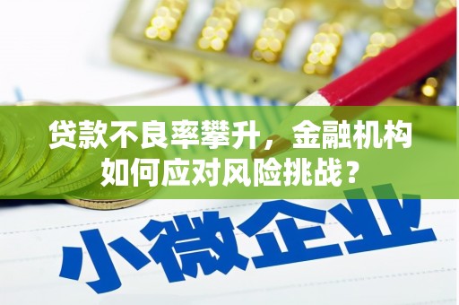 浦东贷款不良率攀升，金融机构如何应对风险挑战？