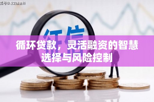 鸡东循环贷款，灵活融资的智慧选择与风险控制