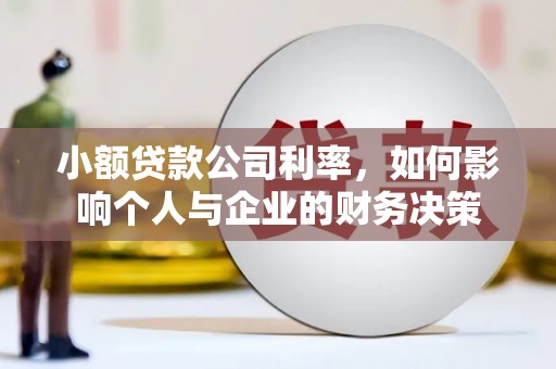 二水小额贷款公司利率，如何影响个人与企业的财务决策