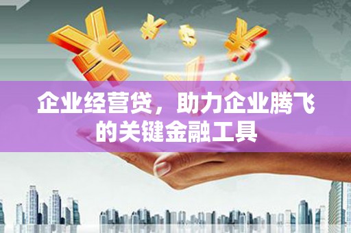 龙岗企业经营贷，助力企业腾飞的关键金融工具