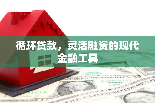 滑县循环贷款，灵活融资的现代金融工具