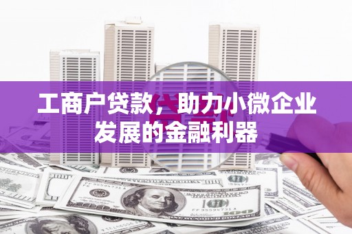 带岭工商户贷款，助力小微企业发展的金融利器