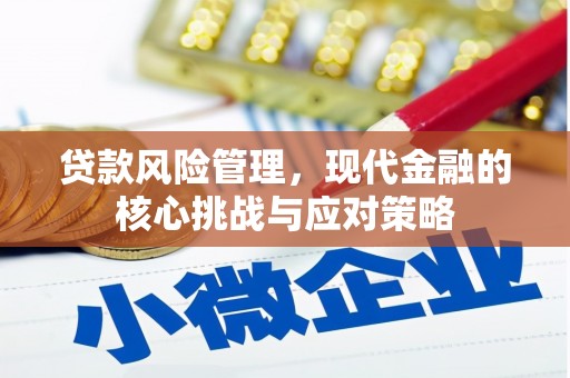 米脂贷款风险管理，现代金融的核心挑战与应对策略